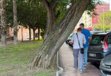 Exigen un plan urgente de revisión del arbolado y la licitación inmediata del contrato de mantenimiento de jardines